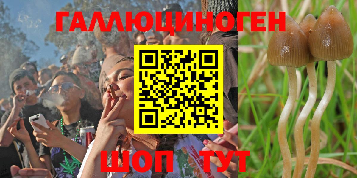 Псилоцибиновые грибы мухоморы Нерюнгри